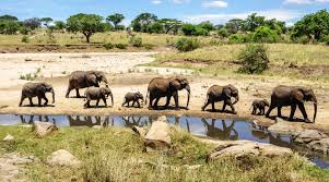 Surafrica Johannesburgo Kruger Durban Ciudad del Cabo