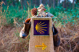 Camino de Santiago  O Cebreiro - Santiago de Compostela