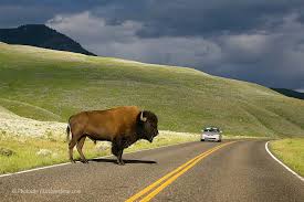 Parques Nacionales del Oeste